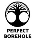 Perfect Borehole